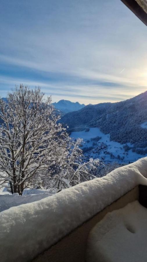 Terrasses Du Morel - A17 - Appart 5 Pers Doucy ภายนอก รูปภาพ